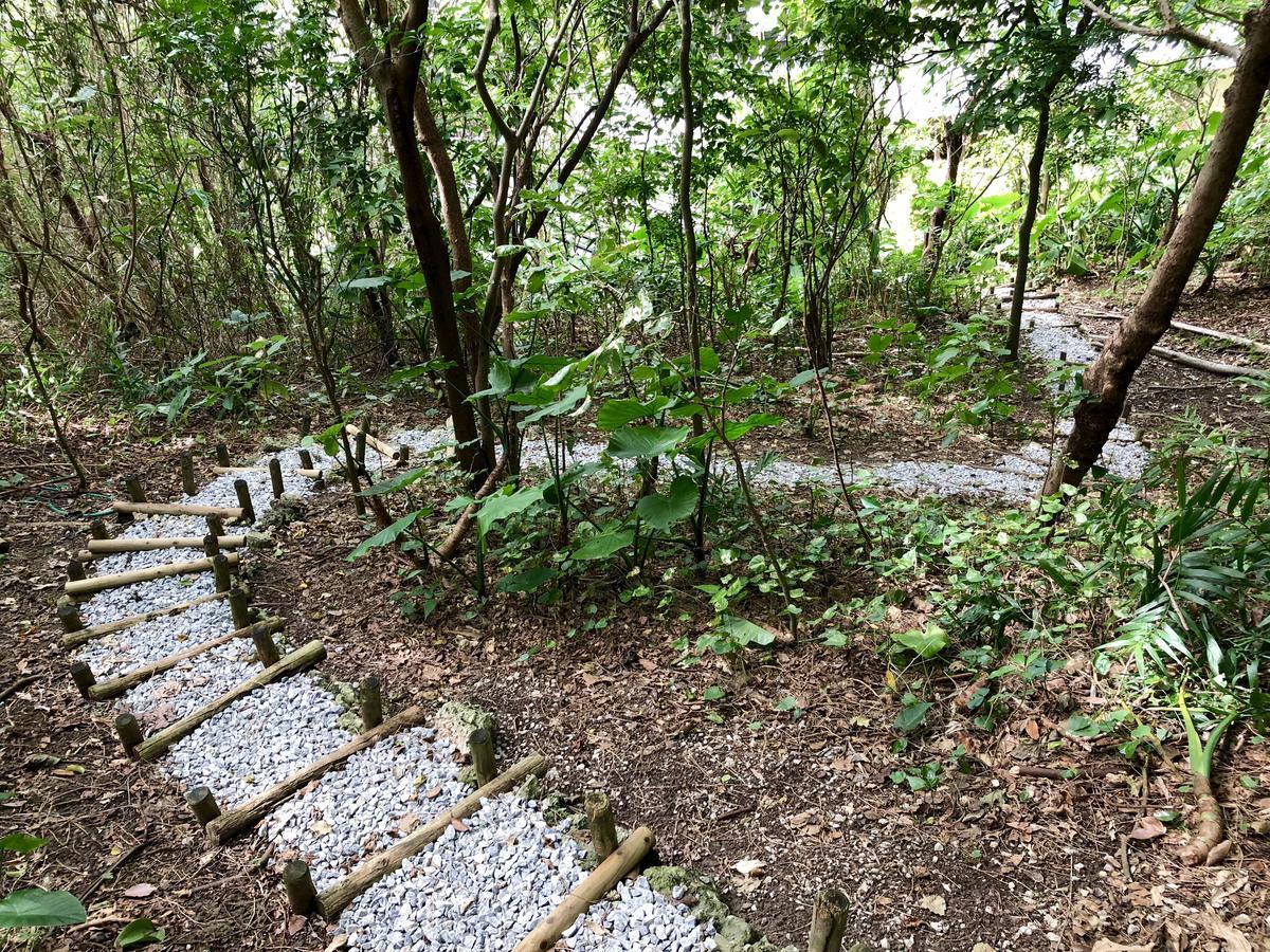 海坐住宿加早餐旅馆
